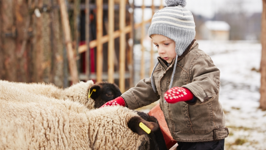 Landsbyggdsuppväxt innebär för många barn tillgång till natur och uteaktiviteter på egen hand, med vänner eller tillsammans med familjen. Foto: Shutterstock